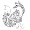 Adult Coloring Book