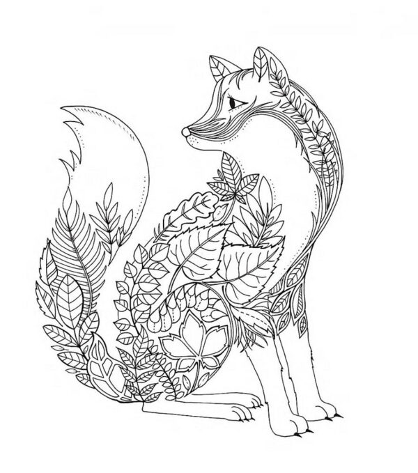 Adult Coloring Book