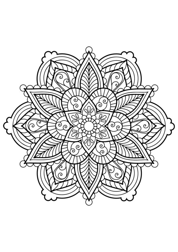 Adult Coloring Book